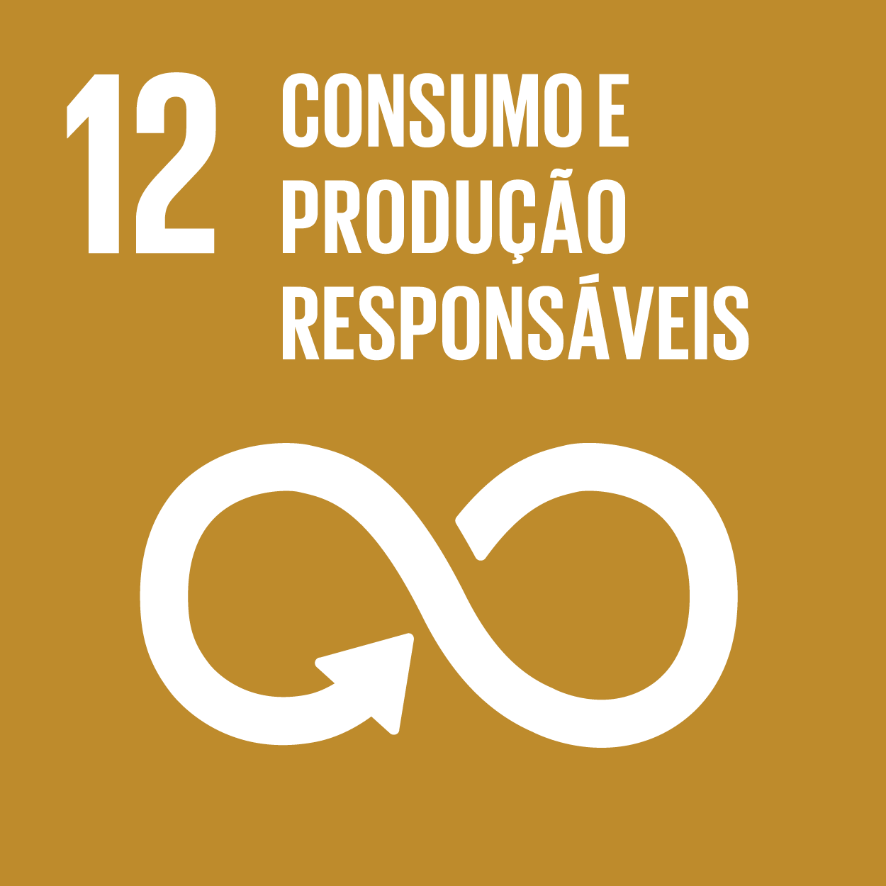 ODS 12 - Consumo e Produção Responsáveis